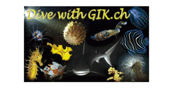 Desktop Screenshot of gik.ch